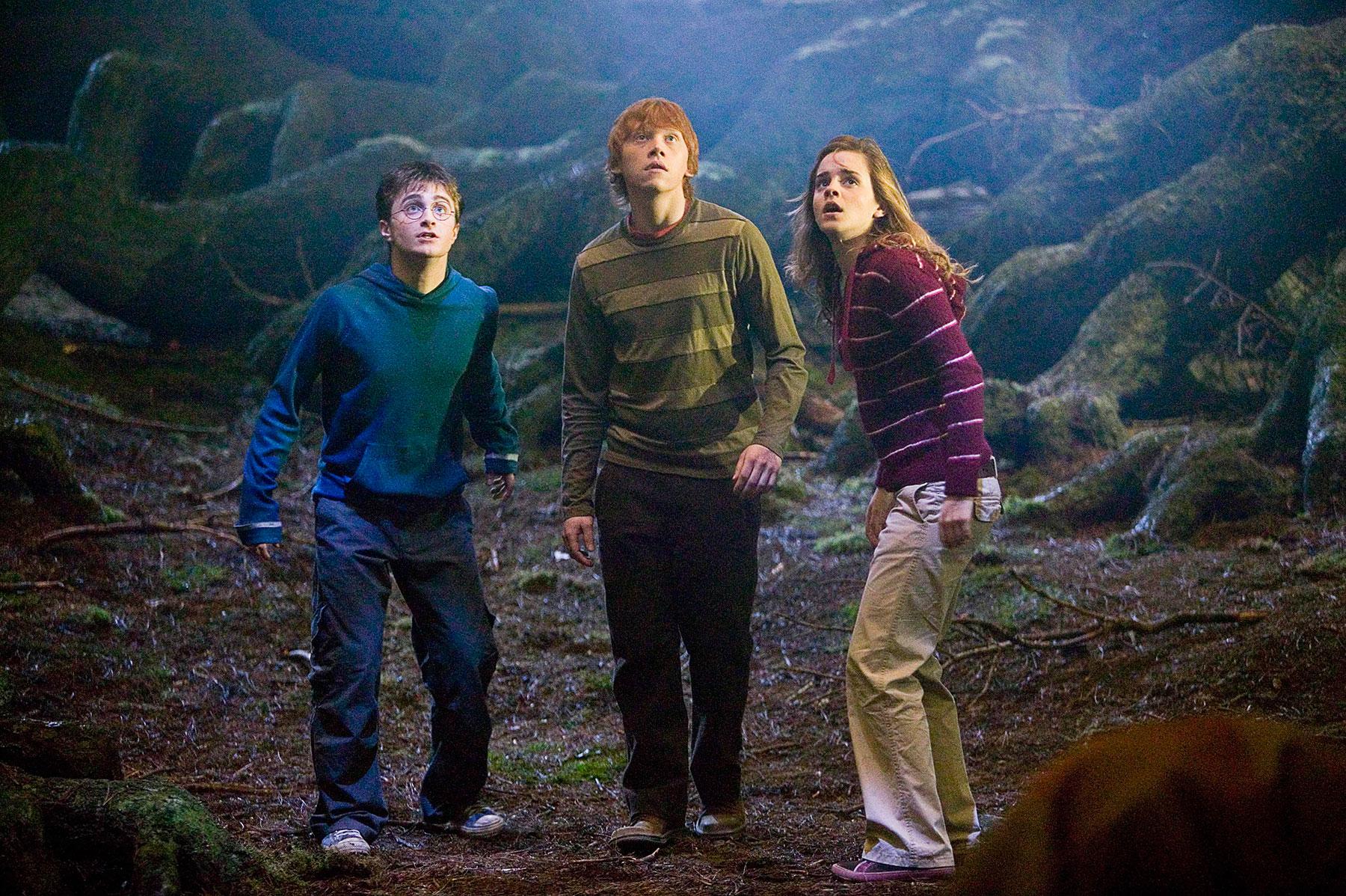 Harry, Ron och Hermione i ”Den förbjudna skogen”.