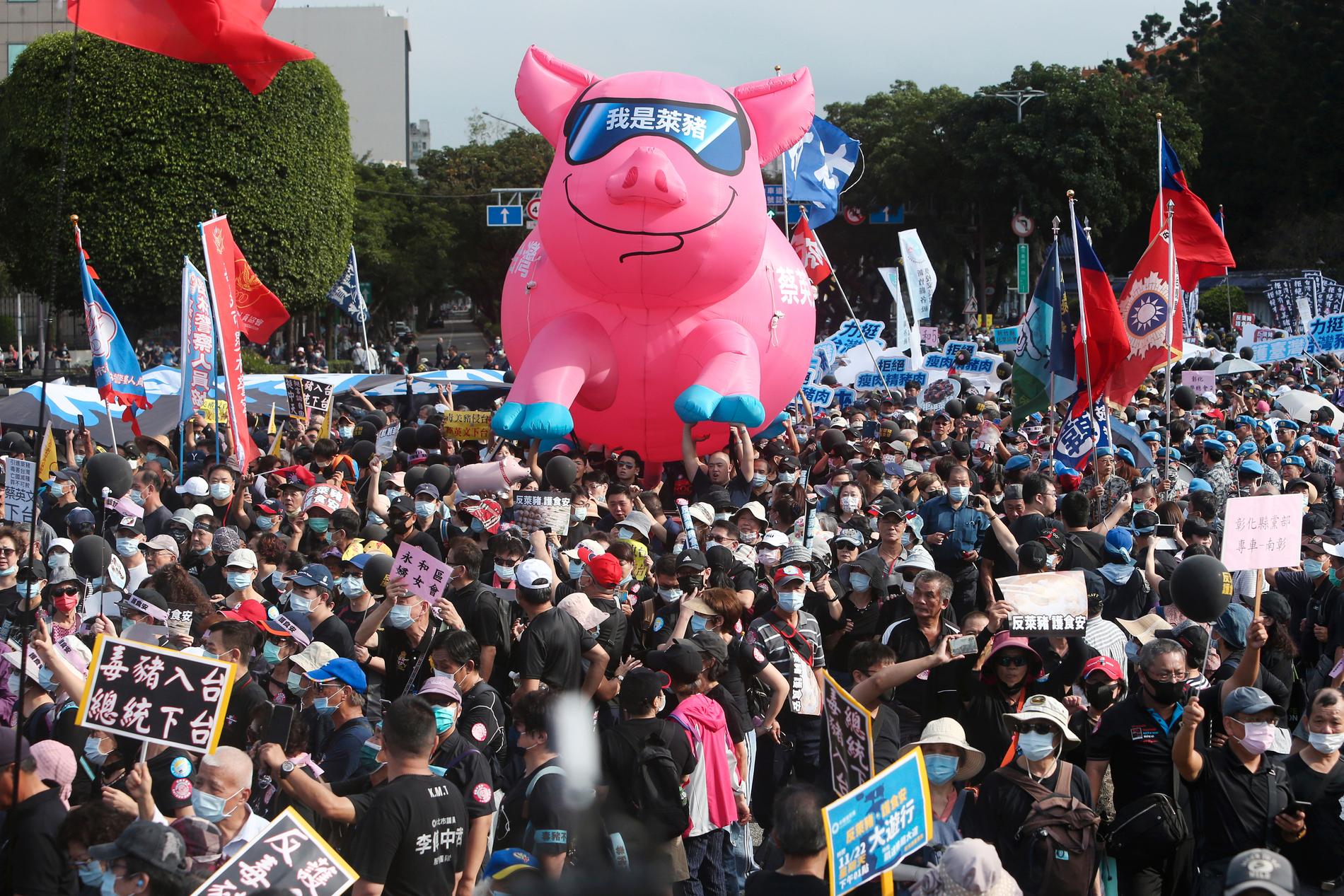 Demonstranter med en uppblåsbar gris under en protest i Taipei i Taiwan den 22 november mot beslutet att tillåta import av amerikanskt fläsk från grisar som matats med ett tillväxthormon som är förbjudet i EU och Kina.