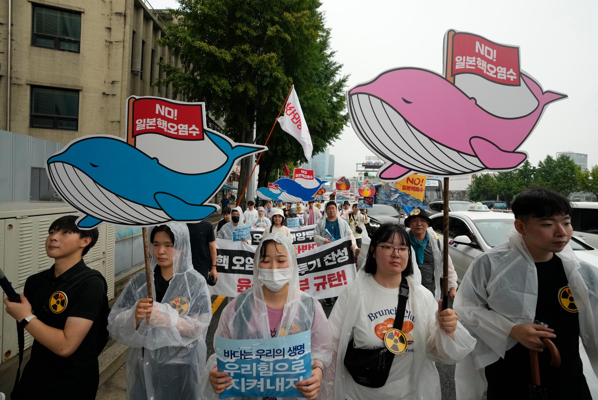 Miljöorganisationer i Sydkorea vill att det radioaktiva vattnet hellre grävs ned i marken eller förångas, två andra vedertagna metoder som de anser är säkrare än att pumpa ut det i havet. Demonstrationen ovan genomfördes i huvudstaden Seoul juli i år.