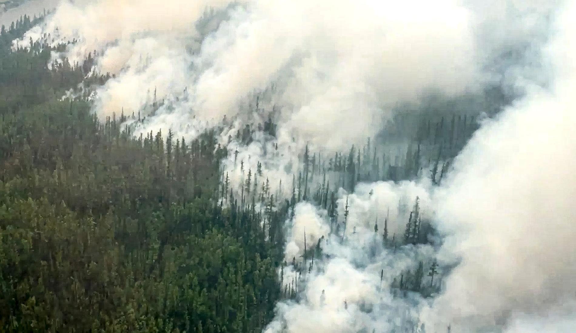 Det är andra året i rad som Ryssland drabbas av kraftiga bränder. Bilden, från ryska myndigheter, togs den 13 juni.