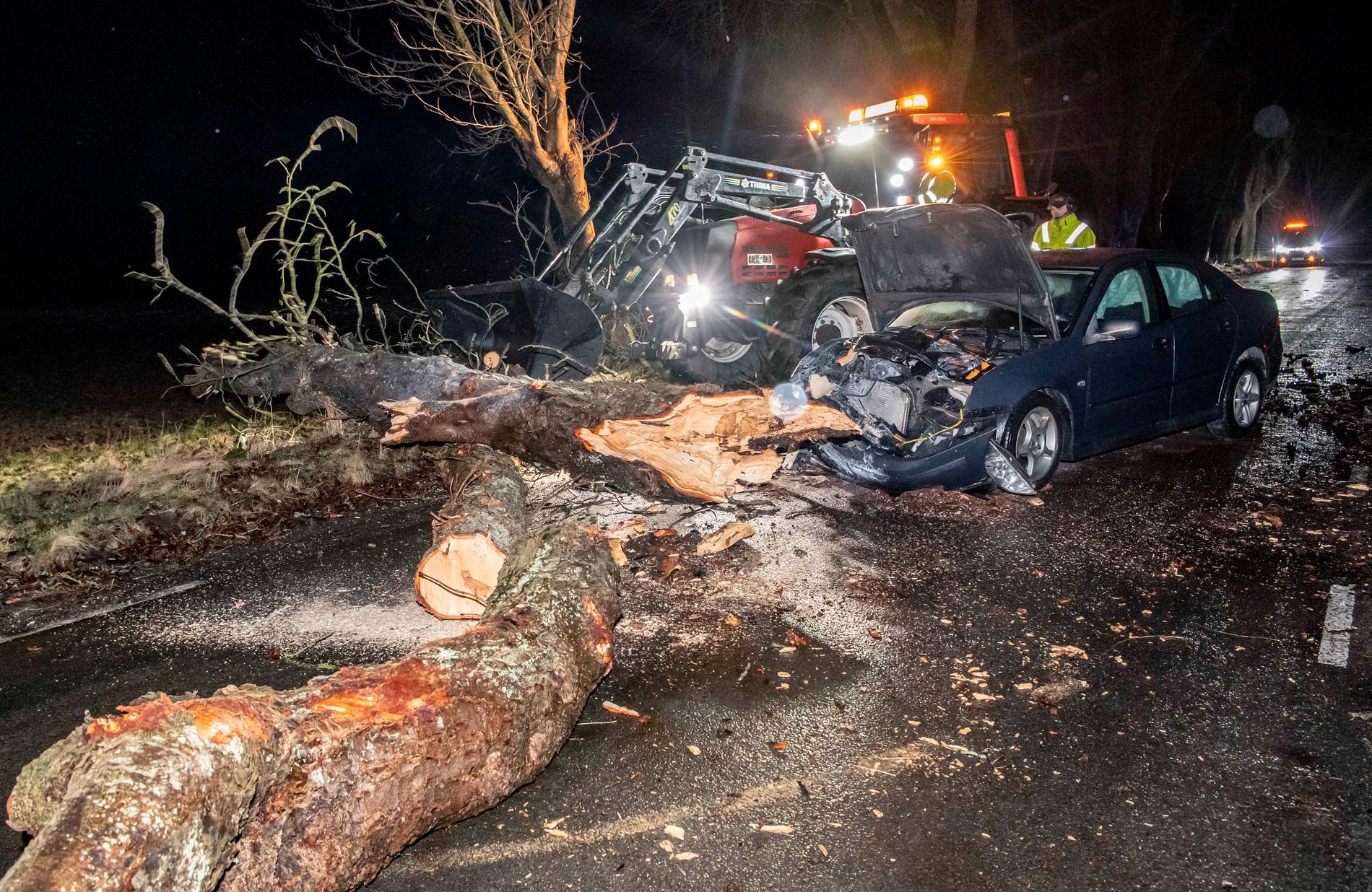 En personbil körde under söndagskvällen in i ett träd som rasat ner över vägen i Kristianstad.