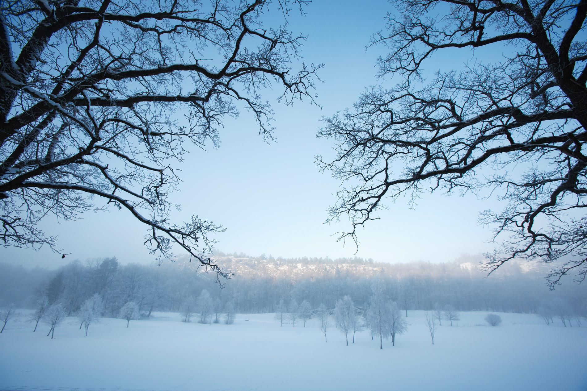 Vintern är på väg att koppla greppet om Sverige. Arkivbild.