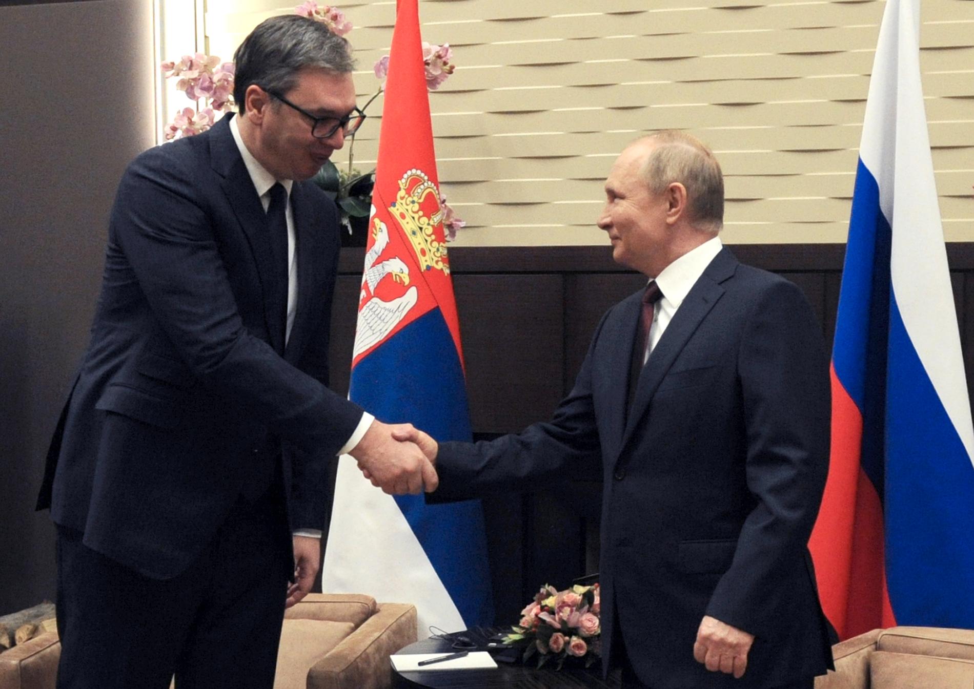 Serbiens president Aleksandar Vucic skakar hand med ryske presidenten Vladimir Putin, vid ett möte i november förra året. Arkivbild.