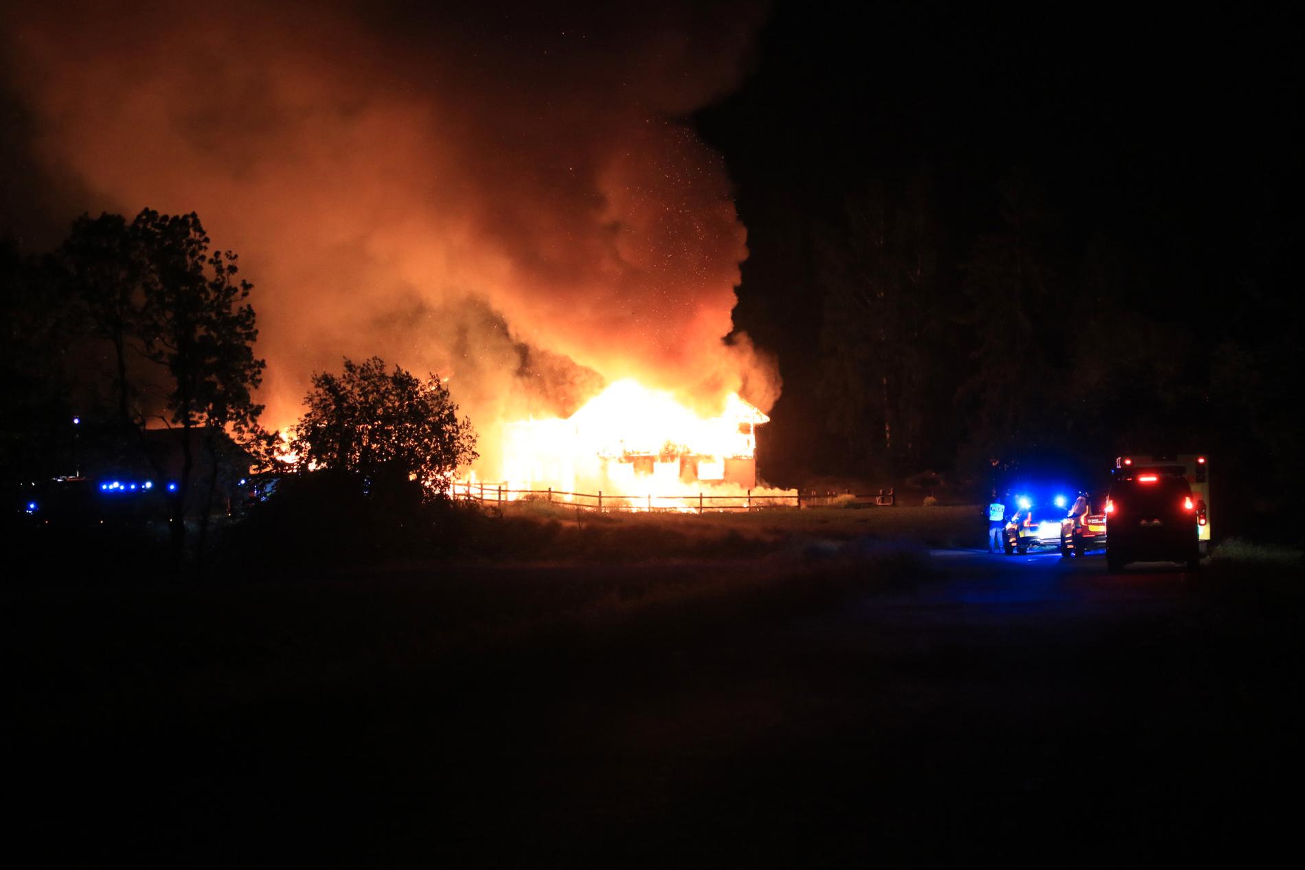 I en lada i Uppsala brann fem hästar inne. 