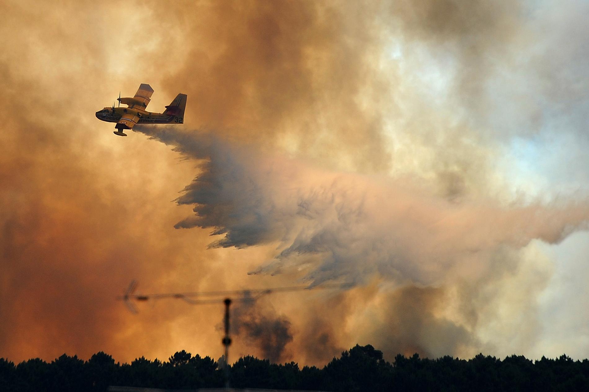 Bild från förra årets skogsbränder i Portugal då 64 människor omkom.
