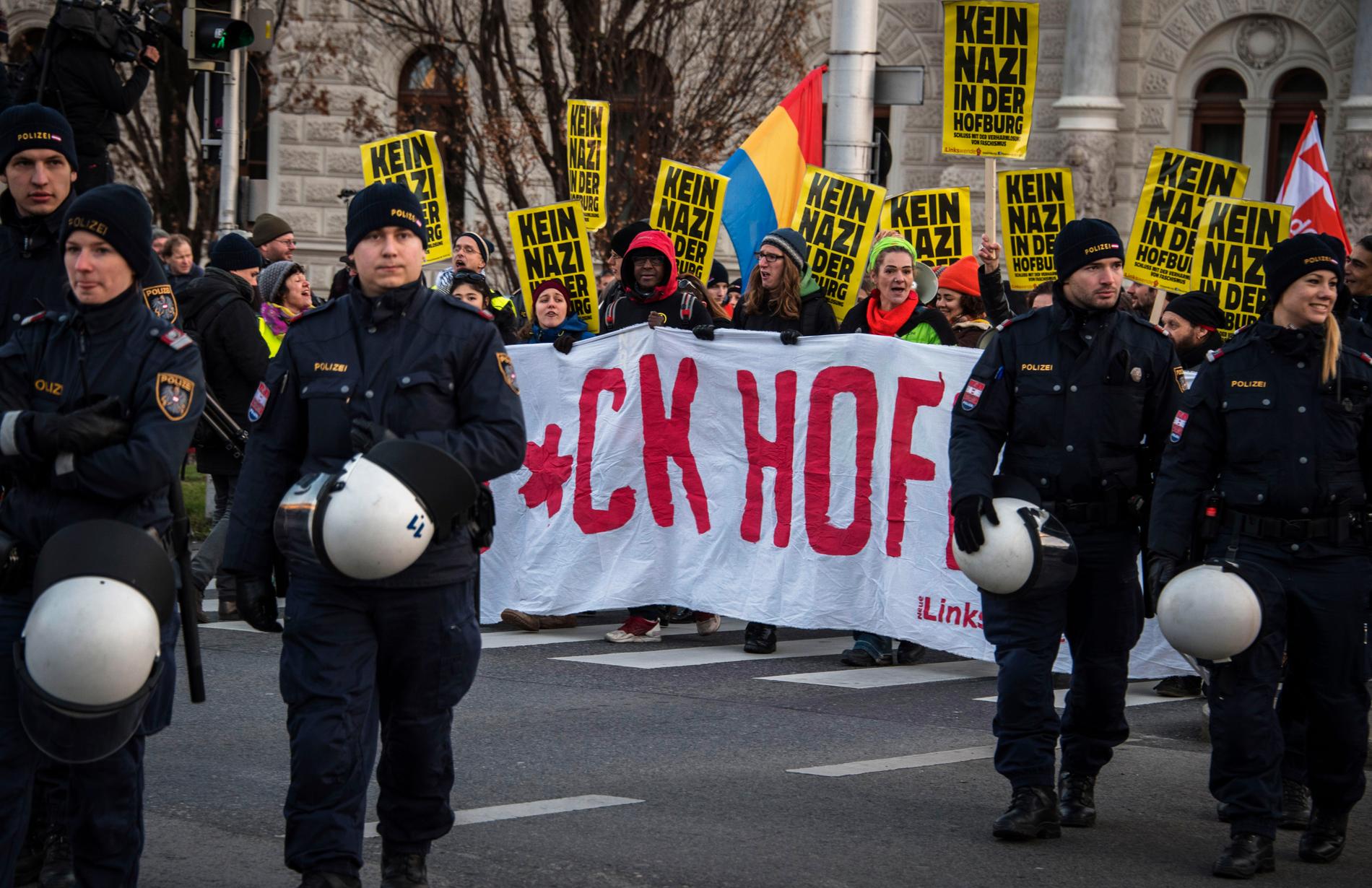 Protester i Wien.
