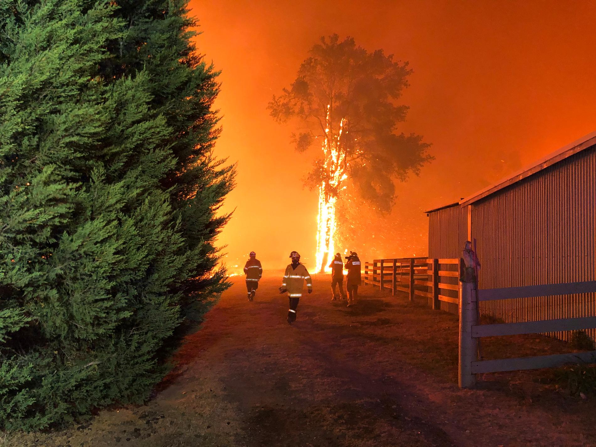 Flera bränder har tagit fart i Australien, där temperaturerna stiger. Bilden från en brand tidigare under säsongen.