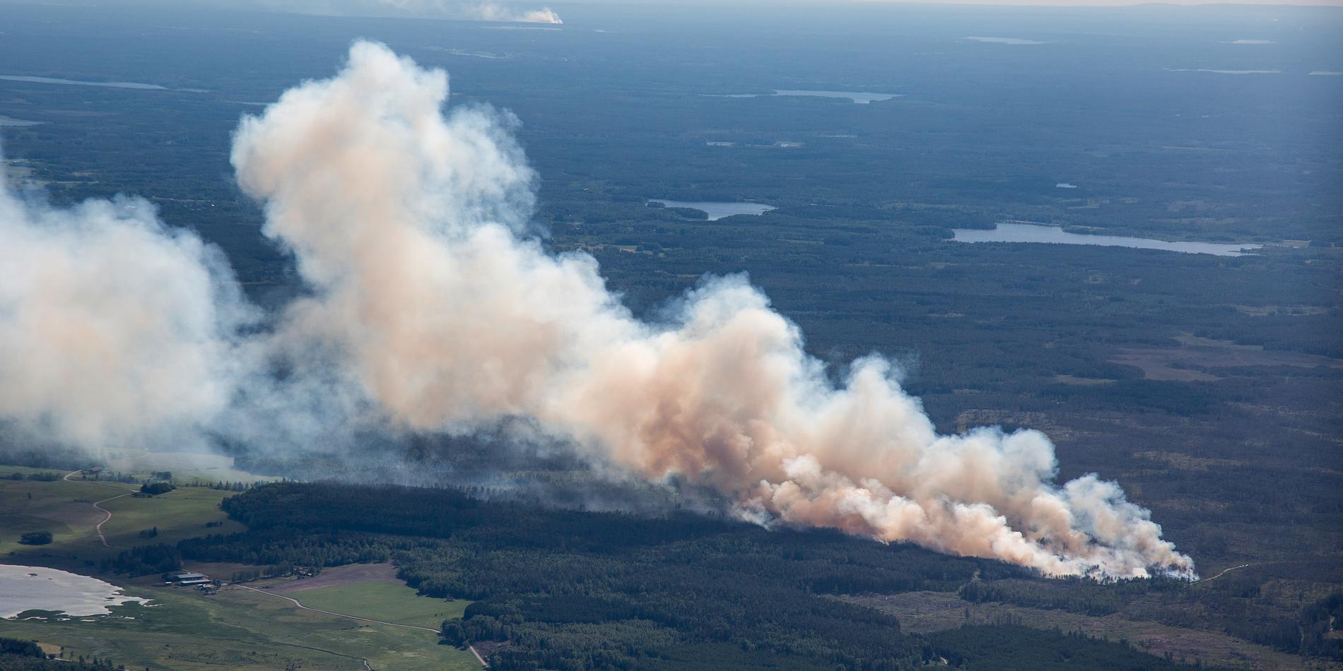 Skogsbranden vid Rörbo utanför Sala 4 juni. Arkivbild.