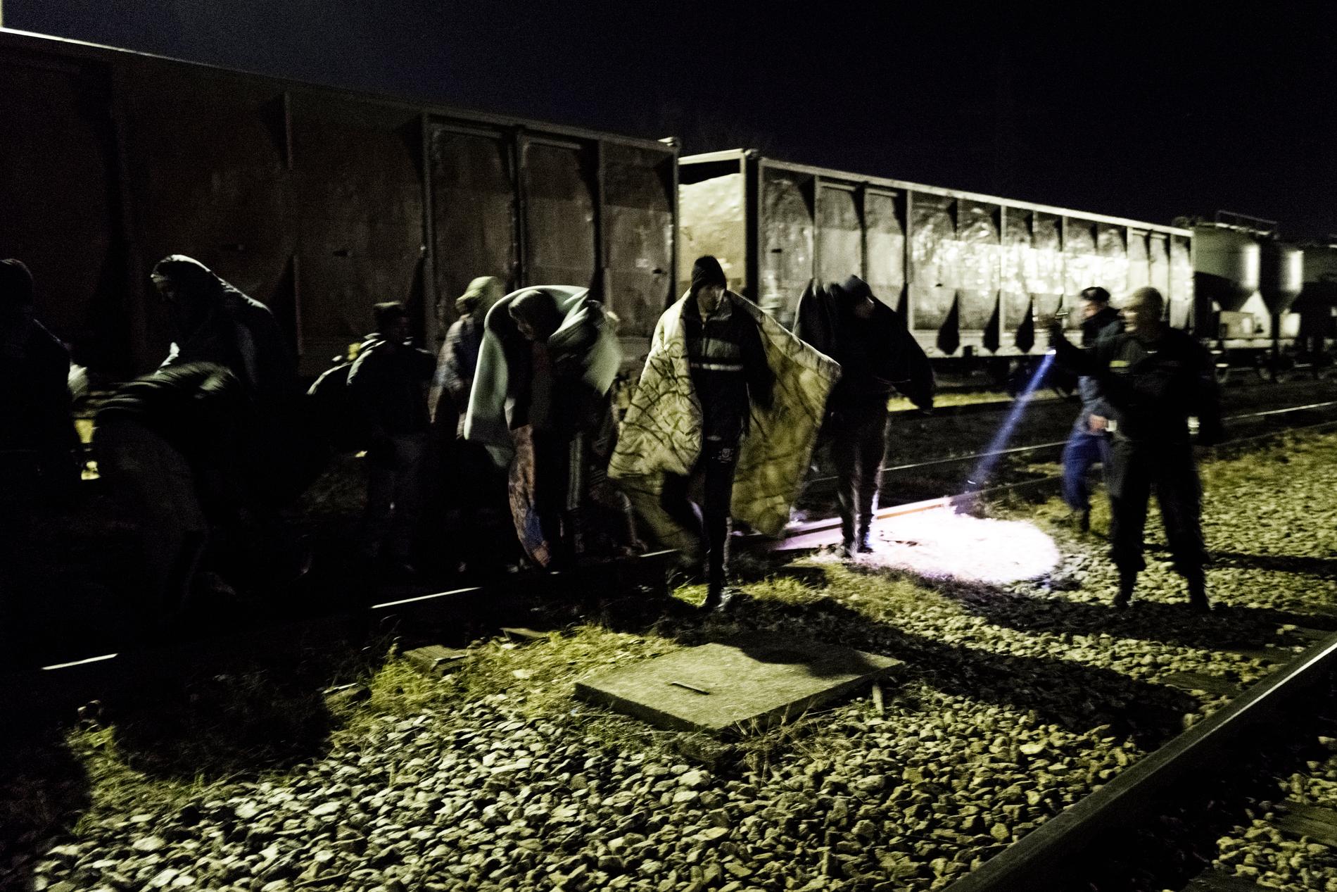 Gränspolisen har hittat en grupp på 14 män som gömt sig i en koltransport. De försökte komma med tåget till Serbien från Bosnien. 