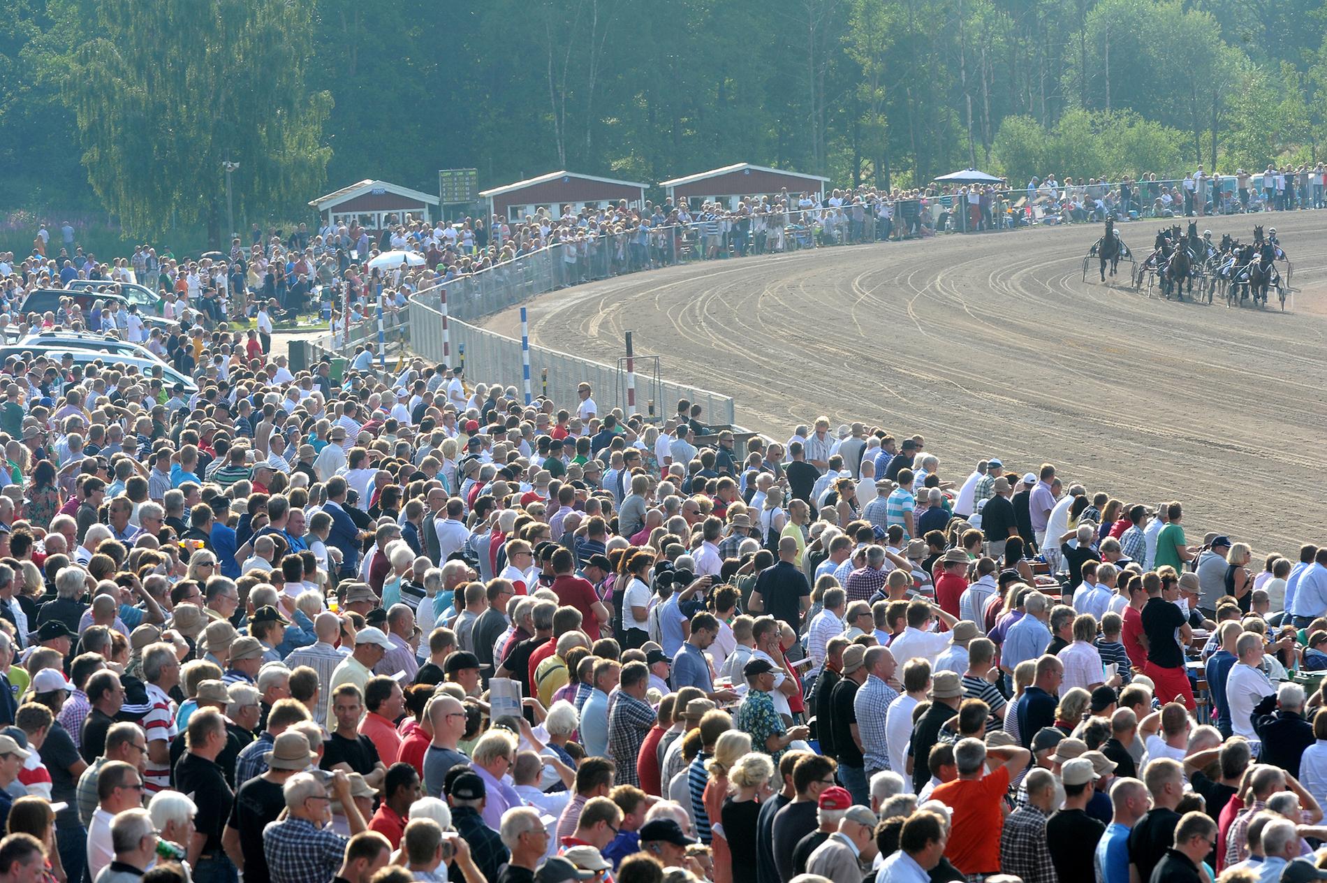 Halmstadtravet brukar locka mellan 10 till 15 000 åskådare vid sin V75-lördag under Sprintermästar-veckan.