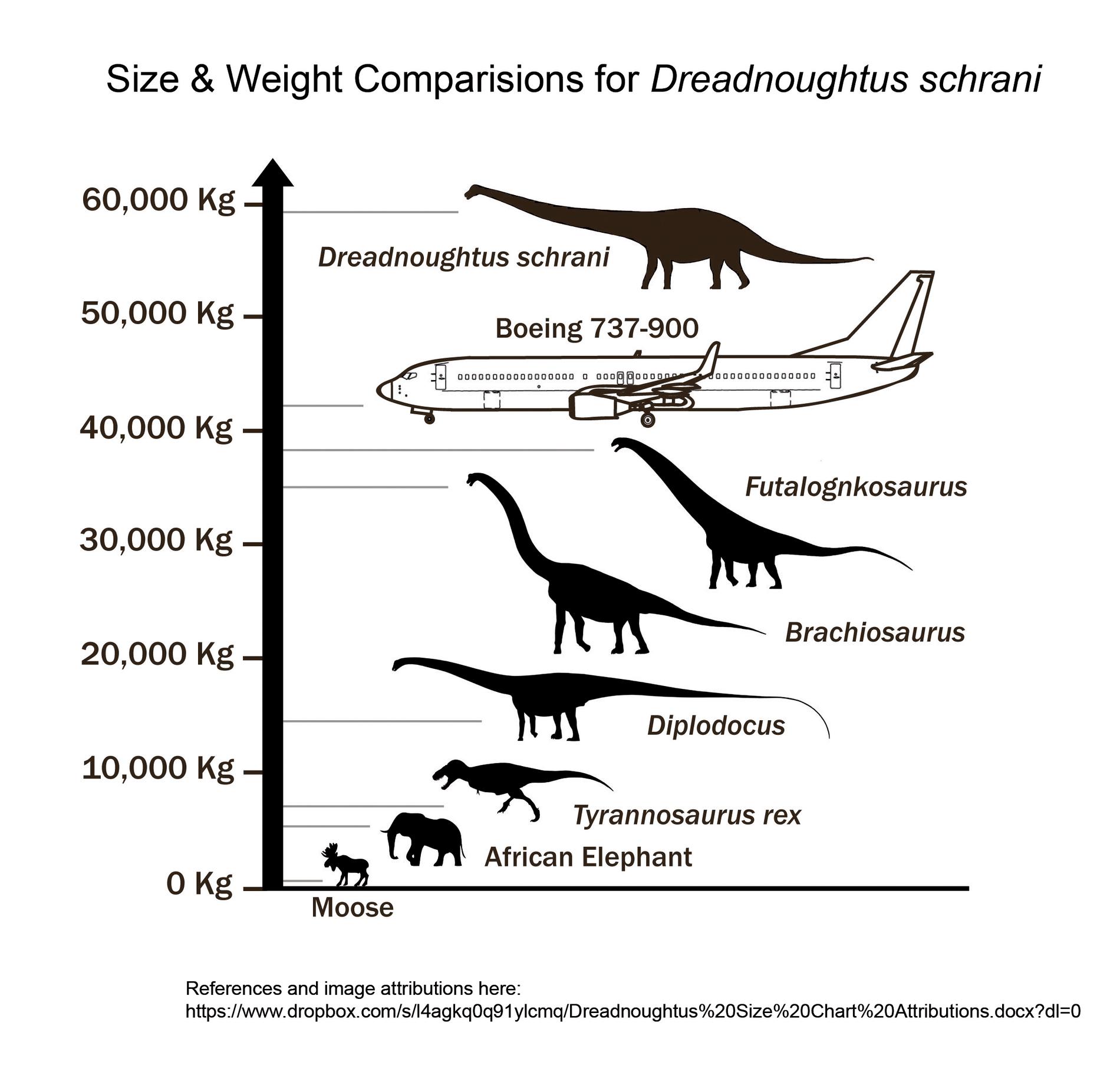 Så här stor var dinosaurien