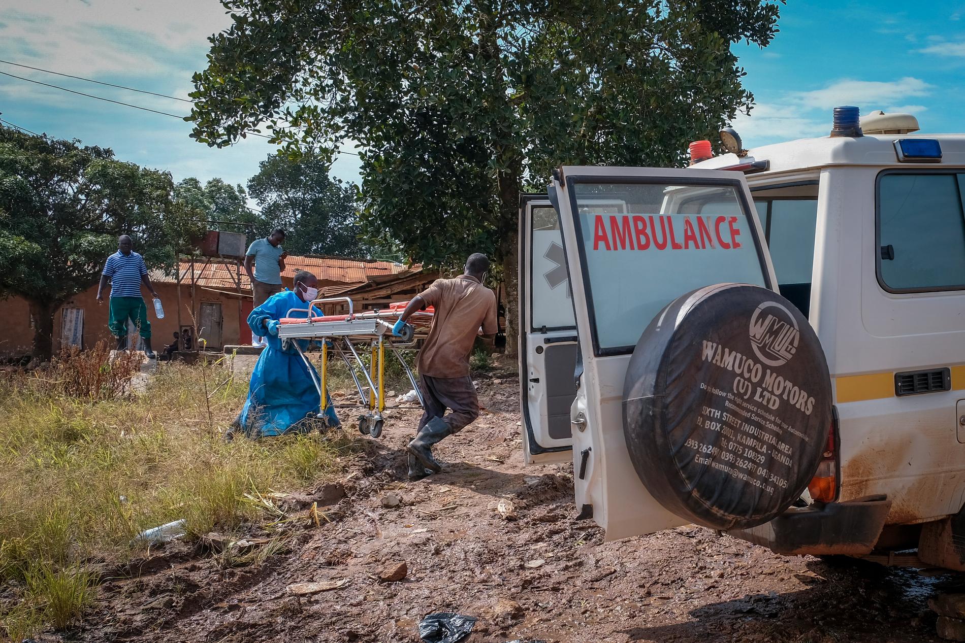 En bår som används för misstänkta ebolaoffer bärs tillbaka till en ambulans efter att ha tvättats i staden Kassanda i Uganda. Arkivbild.