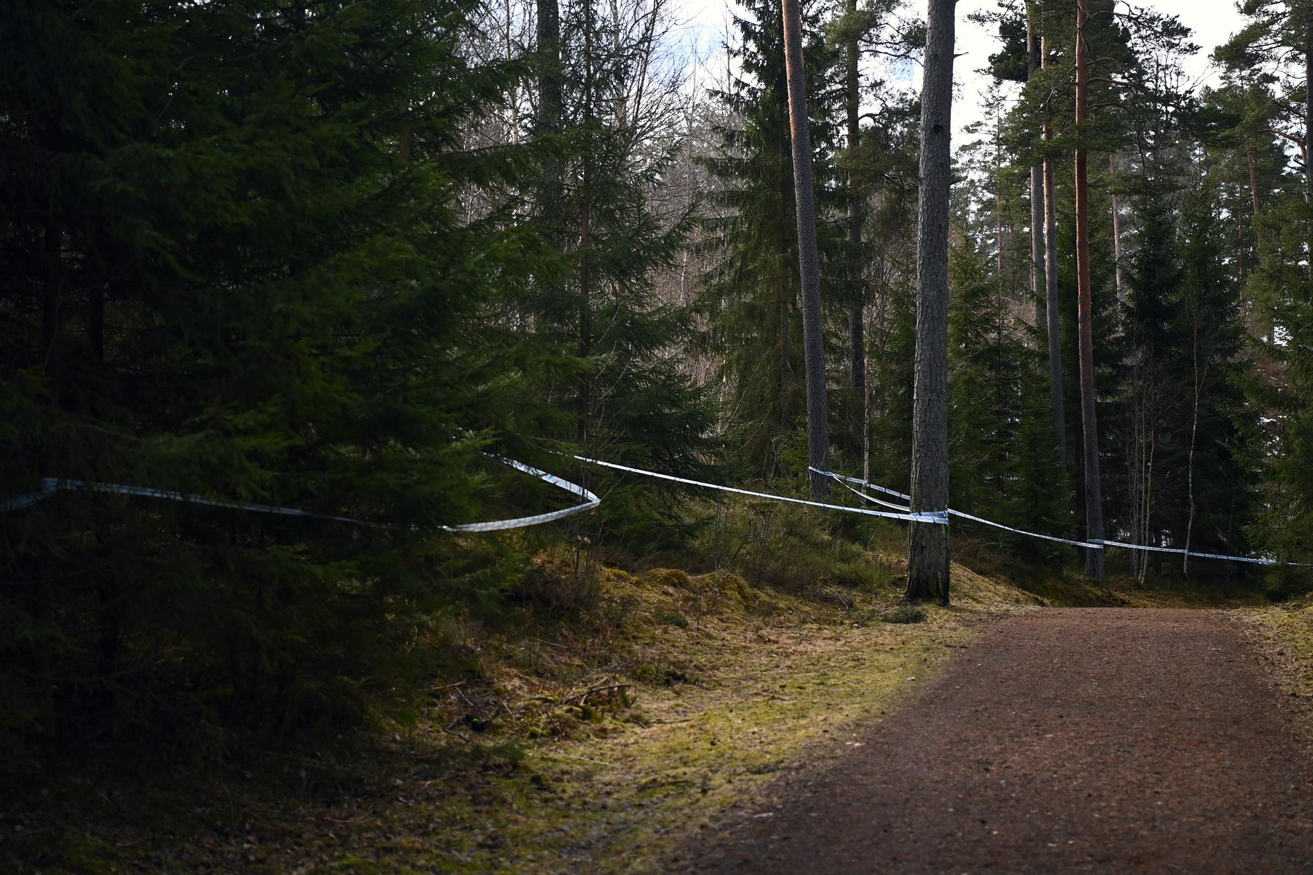 Joullnar hittades död i skogen utanför Jönköping.