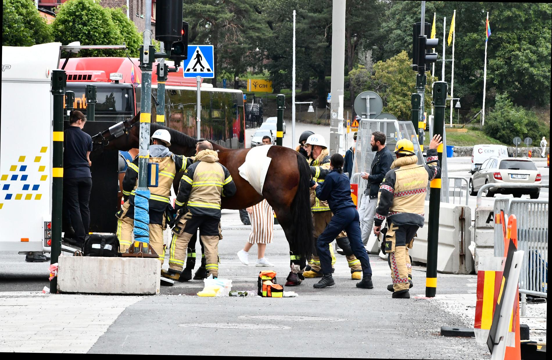 Beriden polis påkörd i centrala Stockholm – hästen svårt skadad