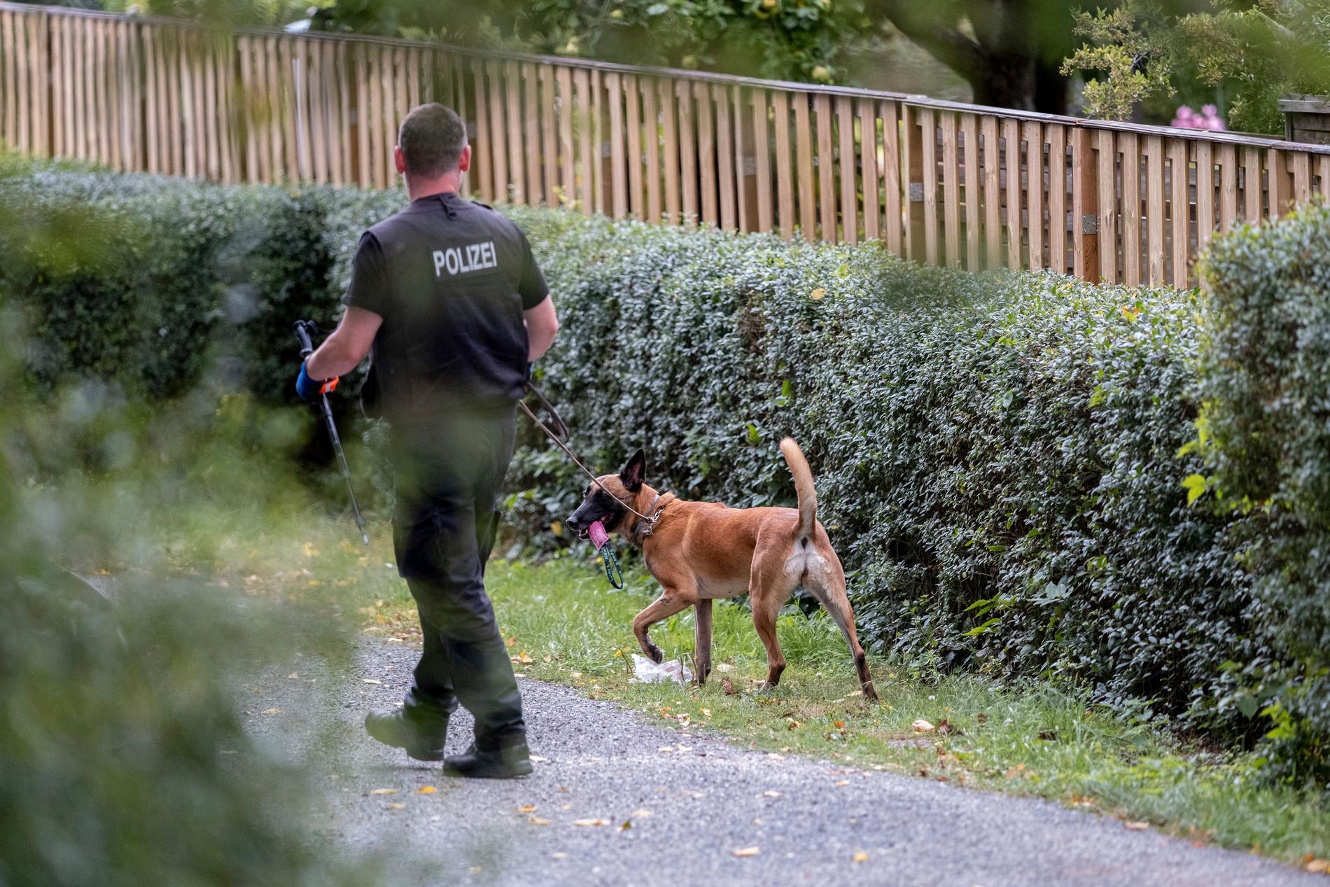 Hundpatruller är på plats i Seelze, i utredningen kring McCann.