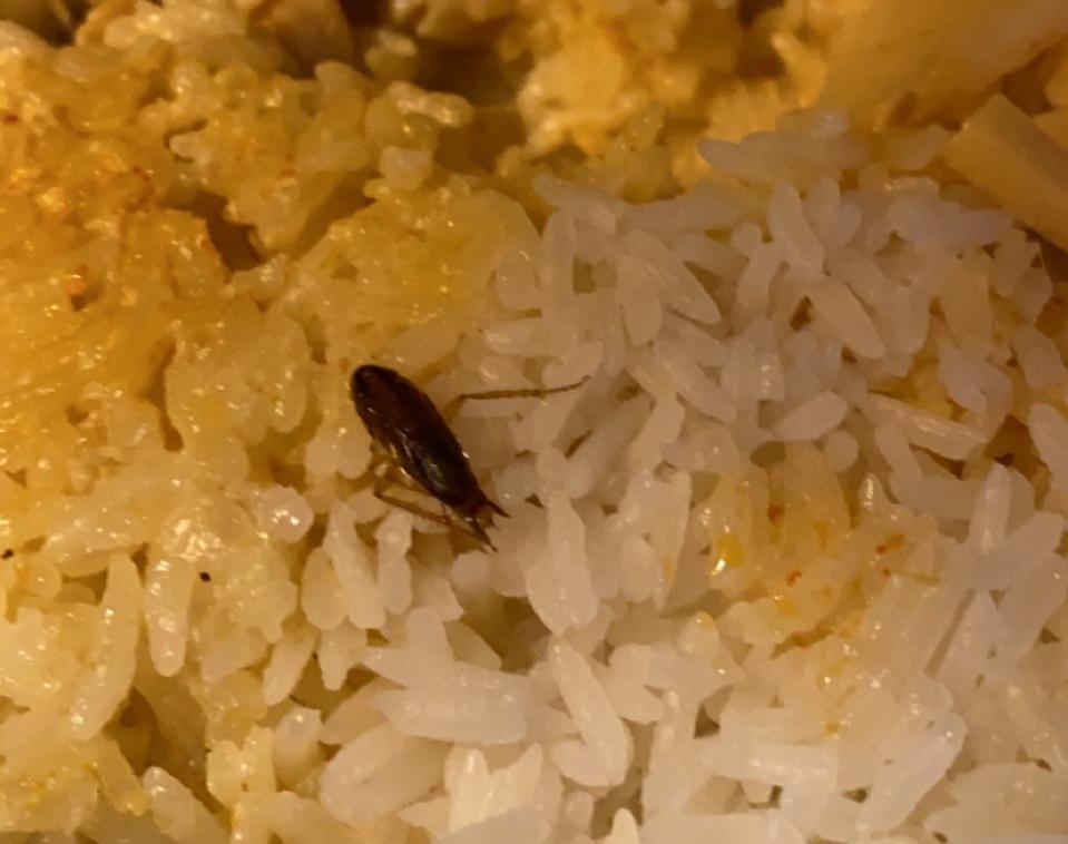 En av de små kackerlackor som hittades i gästernas mat.
