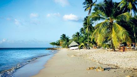Pigeon Point är den mest välbesökta stranden på Tobago. Här hittar du lätt skugga under en egen palm om du inte vill sola eller simma i det kristallklara vattnet.