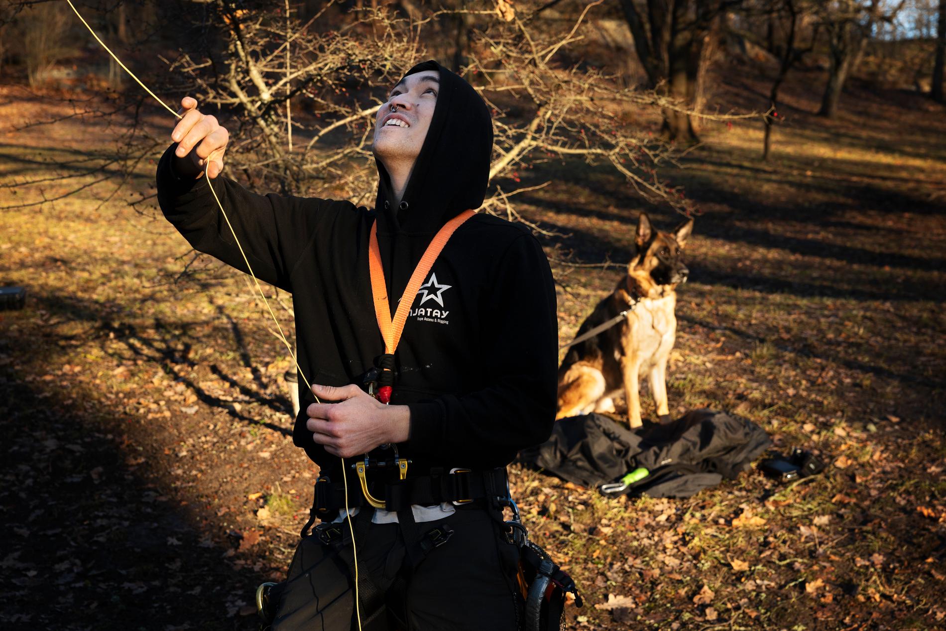 ”Det ligger i människors natur att klättra” säger Ninjatay. Hunden Alice väntar tålmodigt medan husse tar sig an ett träd.