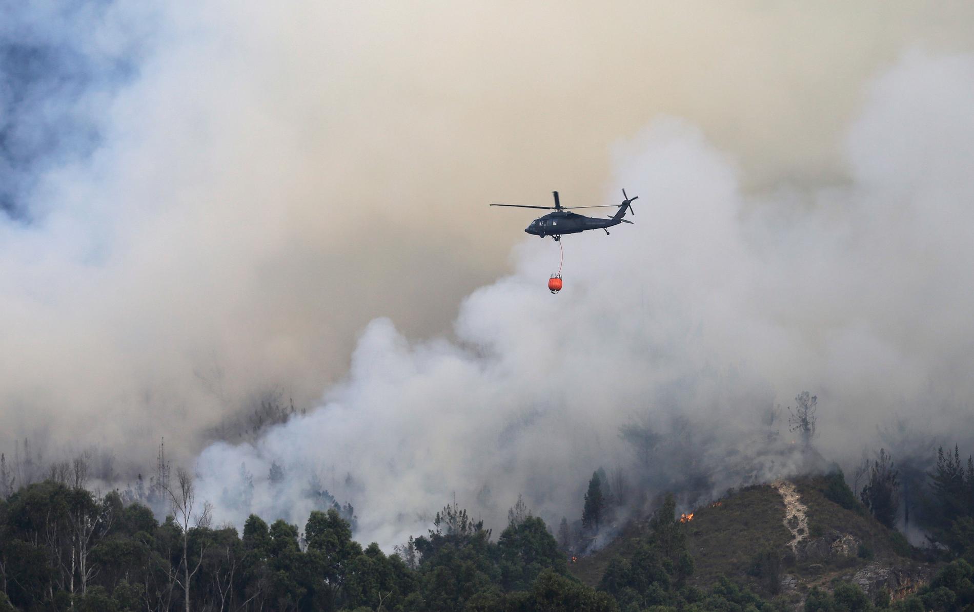 Skogsbrand utanför Bogotá, Colombia, 2016. 