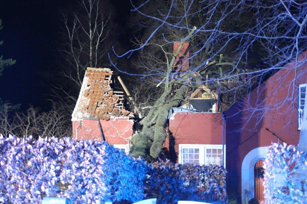 Flera personer fördes till sjukhus efter att ett stort träd föll över ett hus i Krathusvej i Danmark.