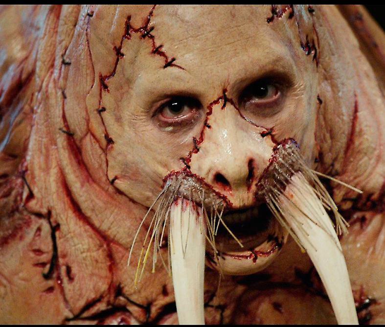 I skräckfilmen ”Tusk” omvandlas en man till en valross.