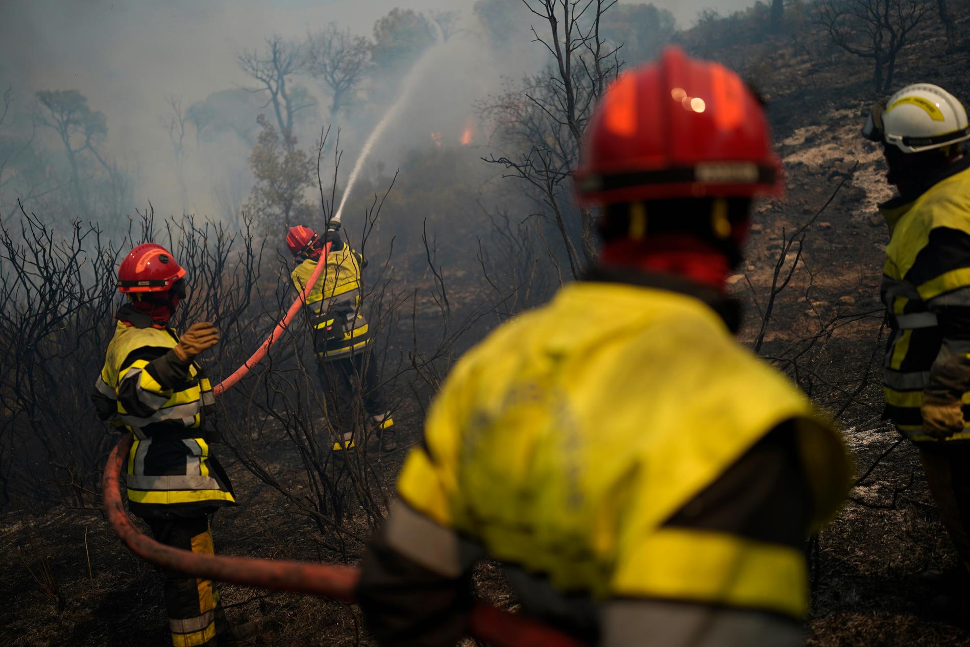 Brandbekämpning i skog utanför Le Luc, södra Frankrike. 