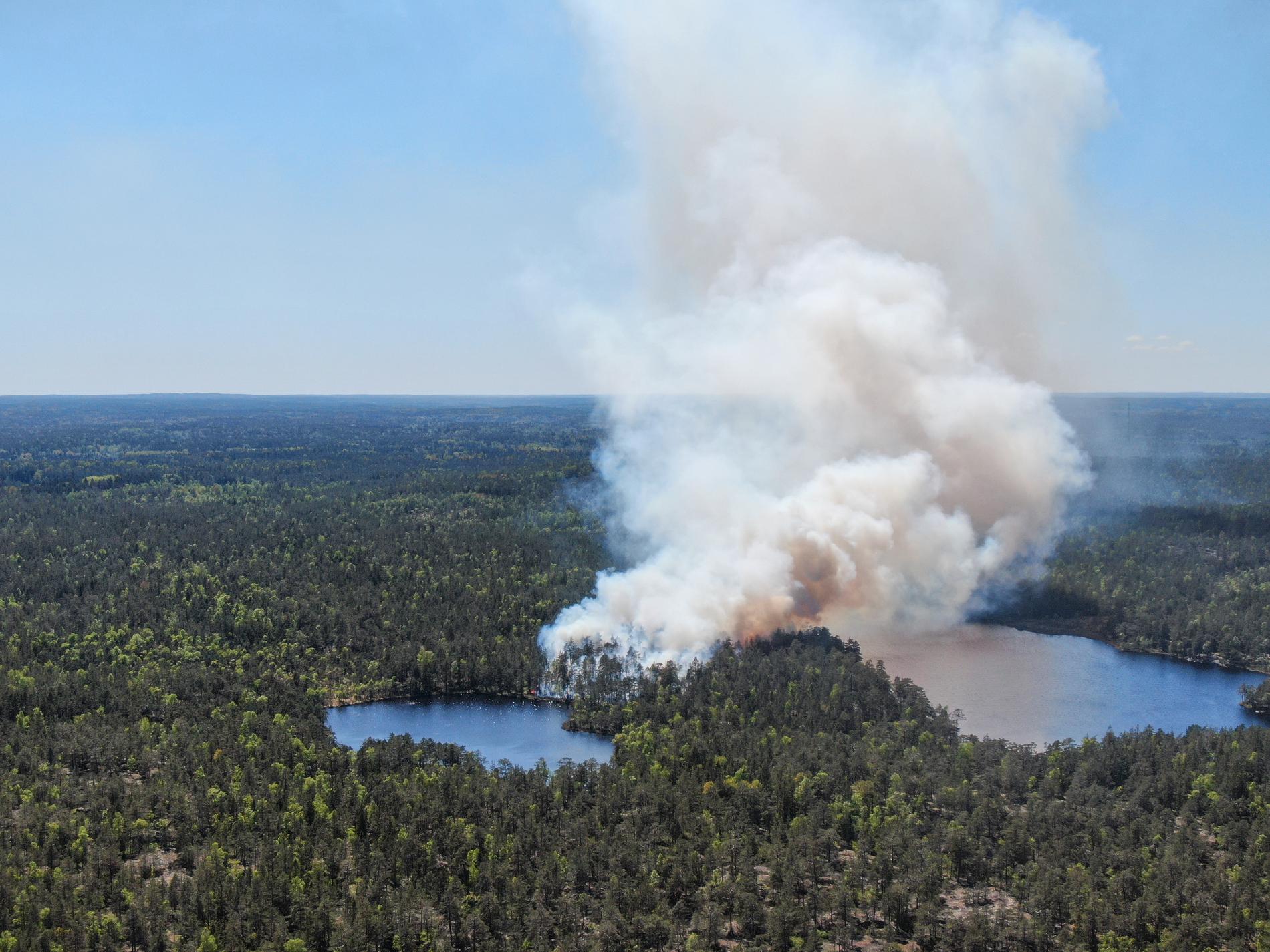 Fyra helikoptrar sattes in under eftermiddagen för att bekämpa skogsbranden i Svartjöns och Paradisets naturreservat, söder om Stockholm.