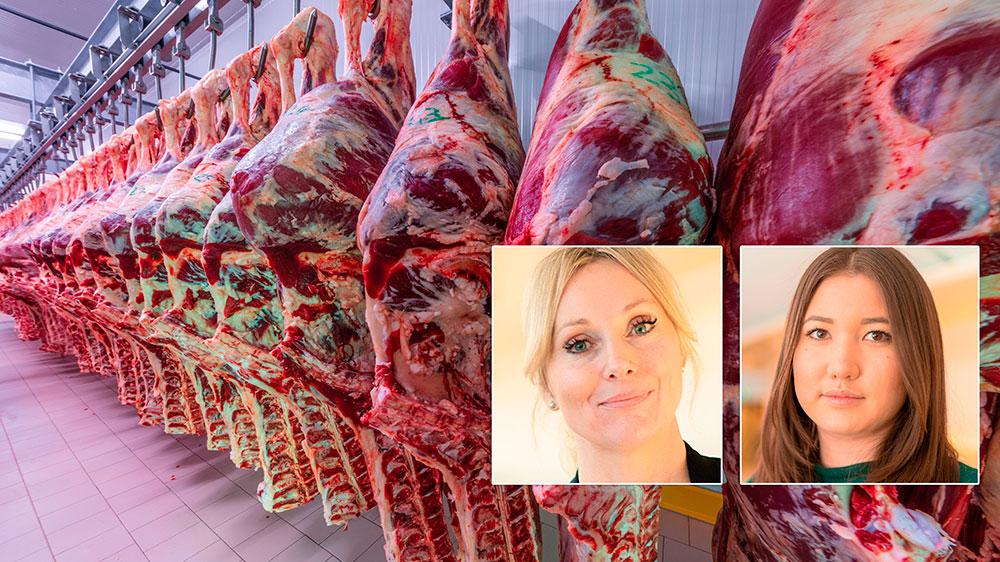 I dag är det många svenskar som helt ovetande äter kött från djur som halal- eller kosherslaktats, vilket är problematiskt av flera skäl, skriver Jessica Stegrud och Yasmine Eriksson (SD). På bilden ses halalslaktat kött.