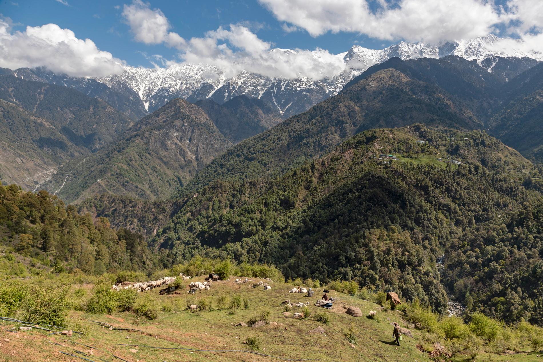 Gränsområdet mellan Kina och Indien i Himalaya har blivit skådeplats för eskalerad motsättning. Arkivbild.