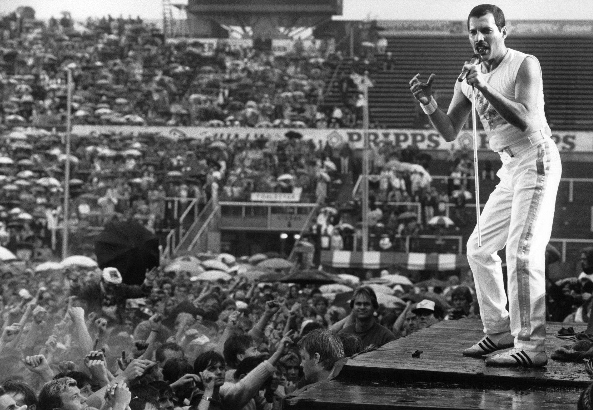 Freddie Mercury tillsammans med Queen under en spelning på Råsunda 1986