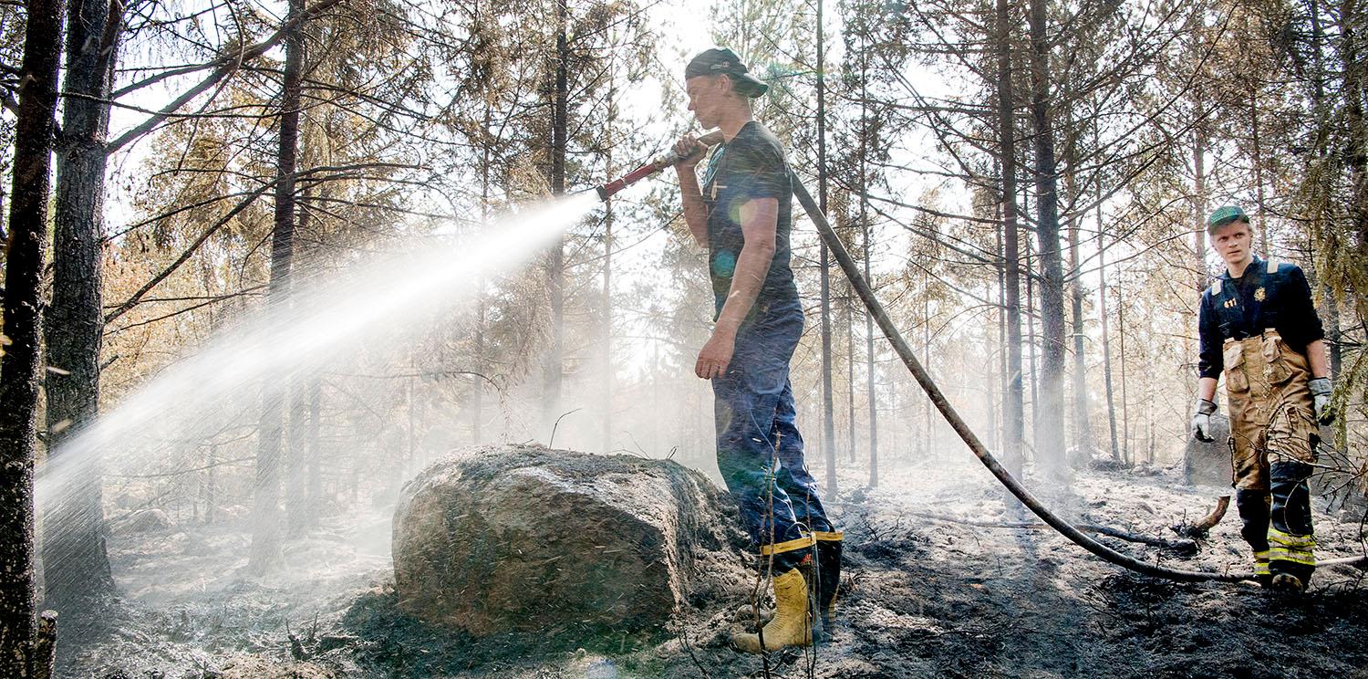 Efter den torra försommaren fruktar många skogsbränder – men det råder brist på brandmän. Bilden från den heta sommaren 2018.