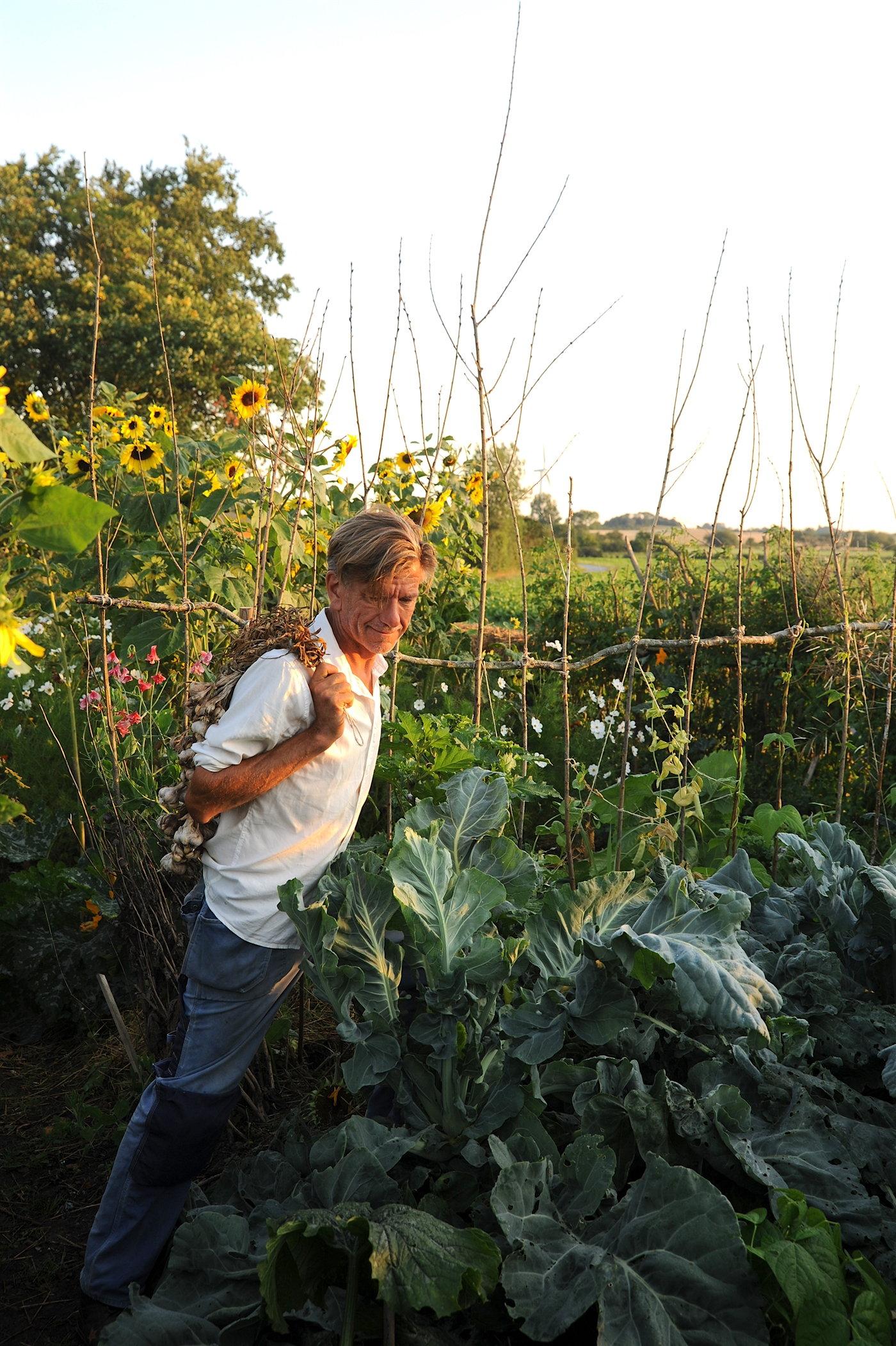 Efter drygt 30 år i Kinnekulle började mat- och trädgårdsinspiratören Hannu Sarenström om i danska Langeland 2017. Om detta berättar han i sin bok "Det nya trädgårdslandet". Pressbild.