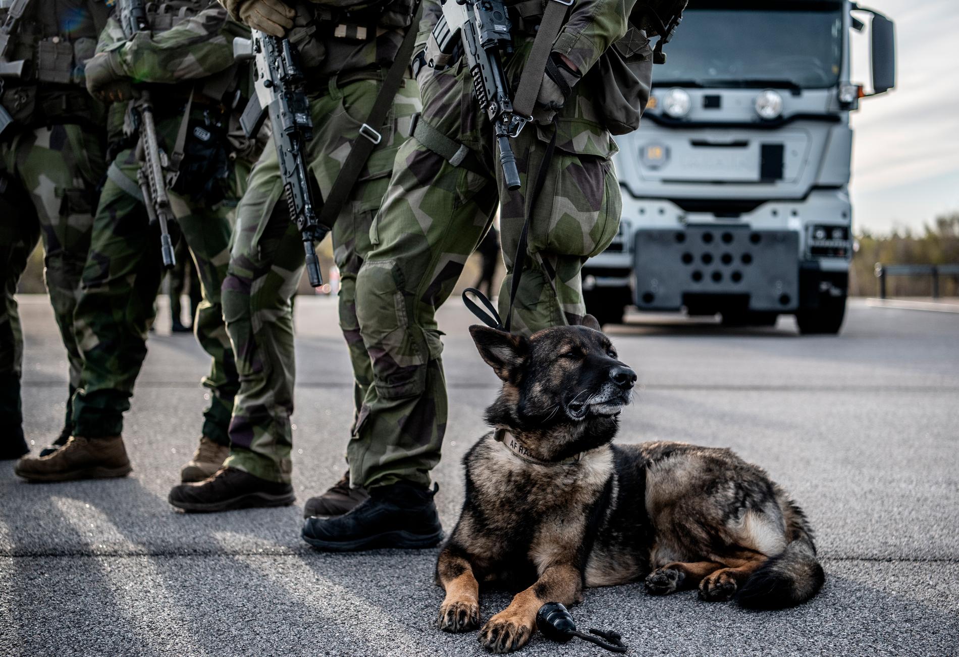 Svenska försvarsmakten vid en militärövning.