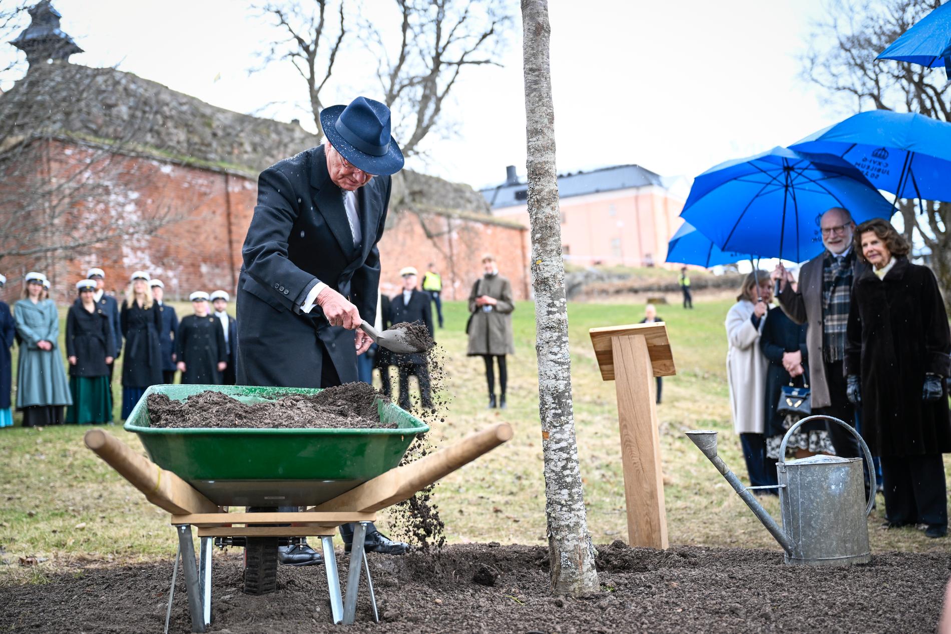 Kungen planterar ett minnesträd (en oxel) vid Uppsala slott. 