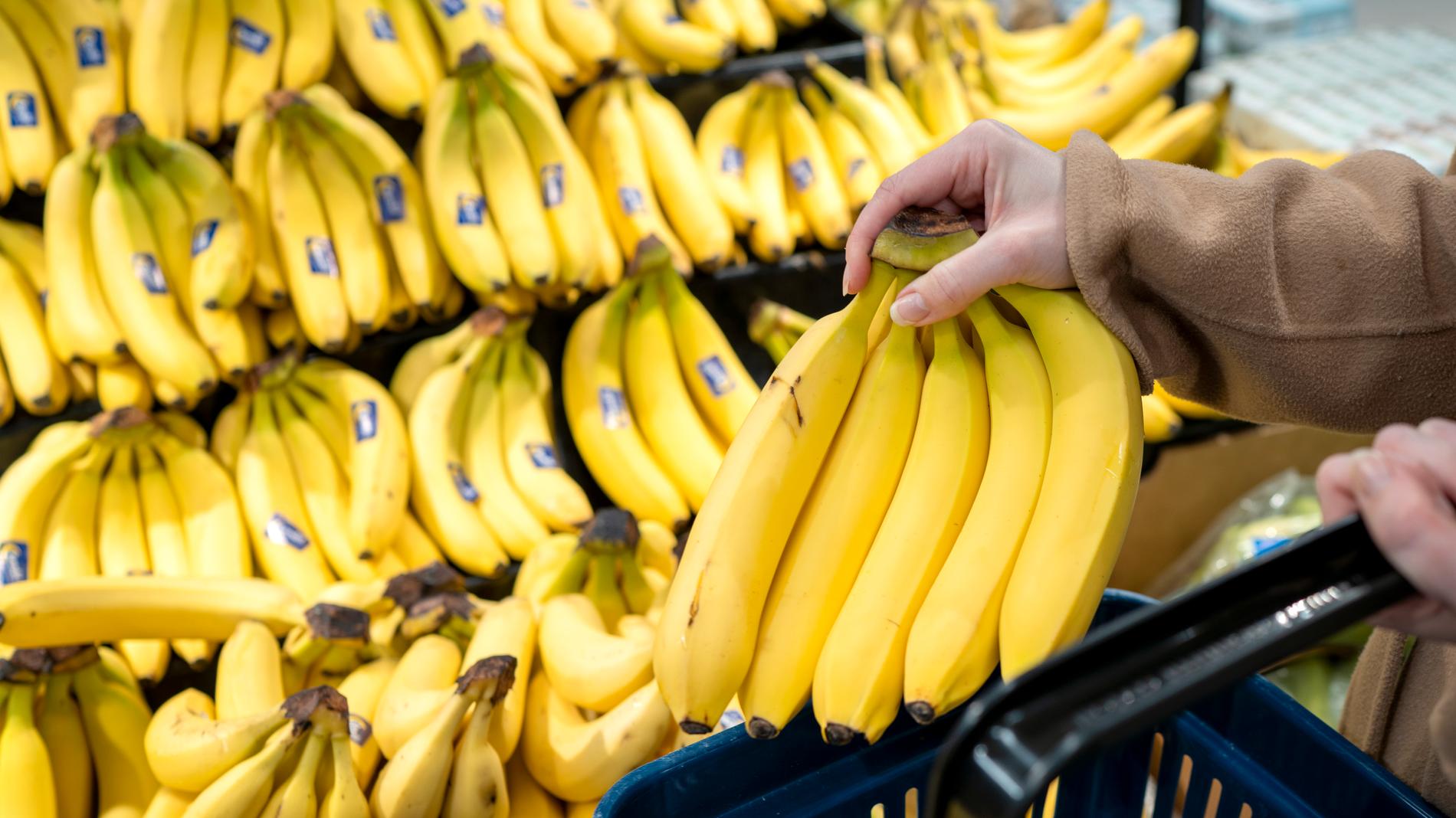 Stora mängder kokain har hittats bland bananer i flera Lidl-butiker i Tyskland. Arkivbild.