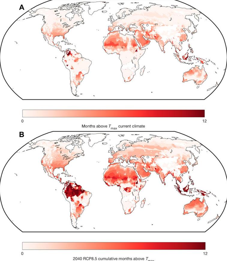 De färgade områden visar antal månader över optimala temperaturen för skogsområden, nu och 2040.