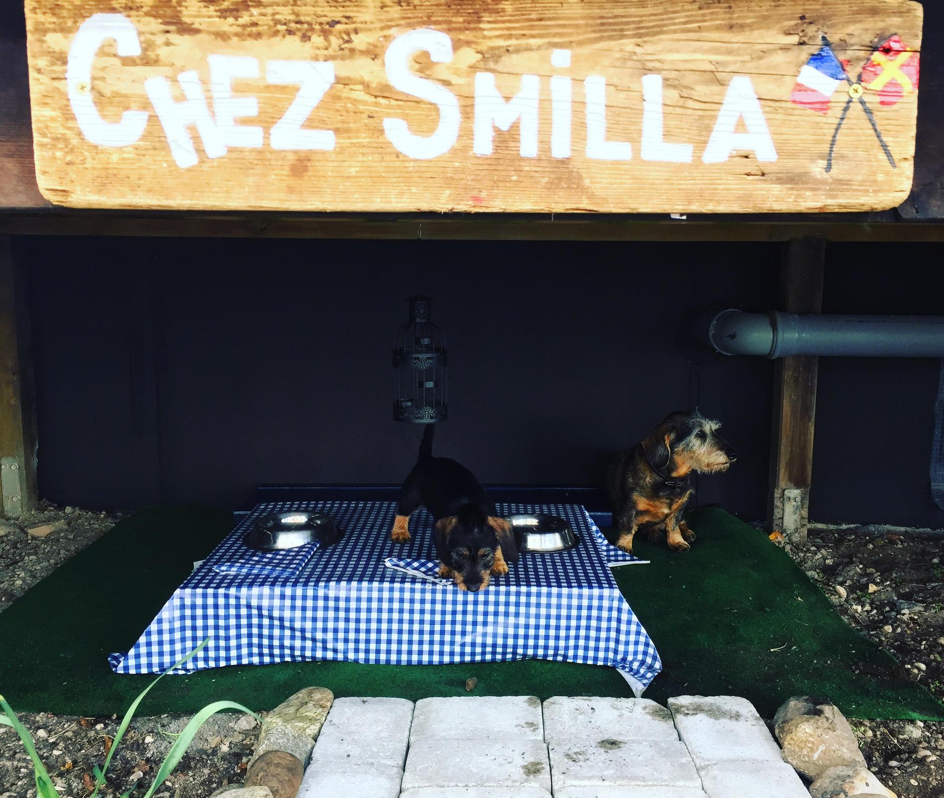 Chez Smilla – krogen för hundar. 