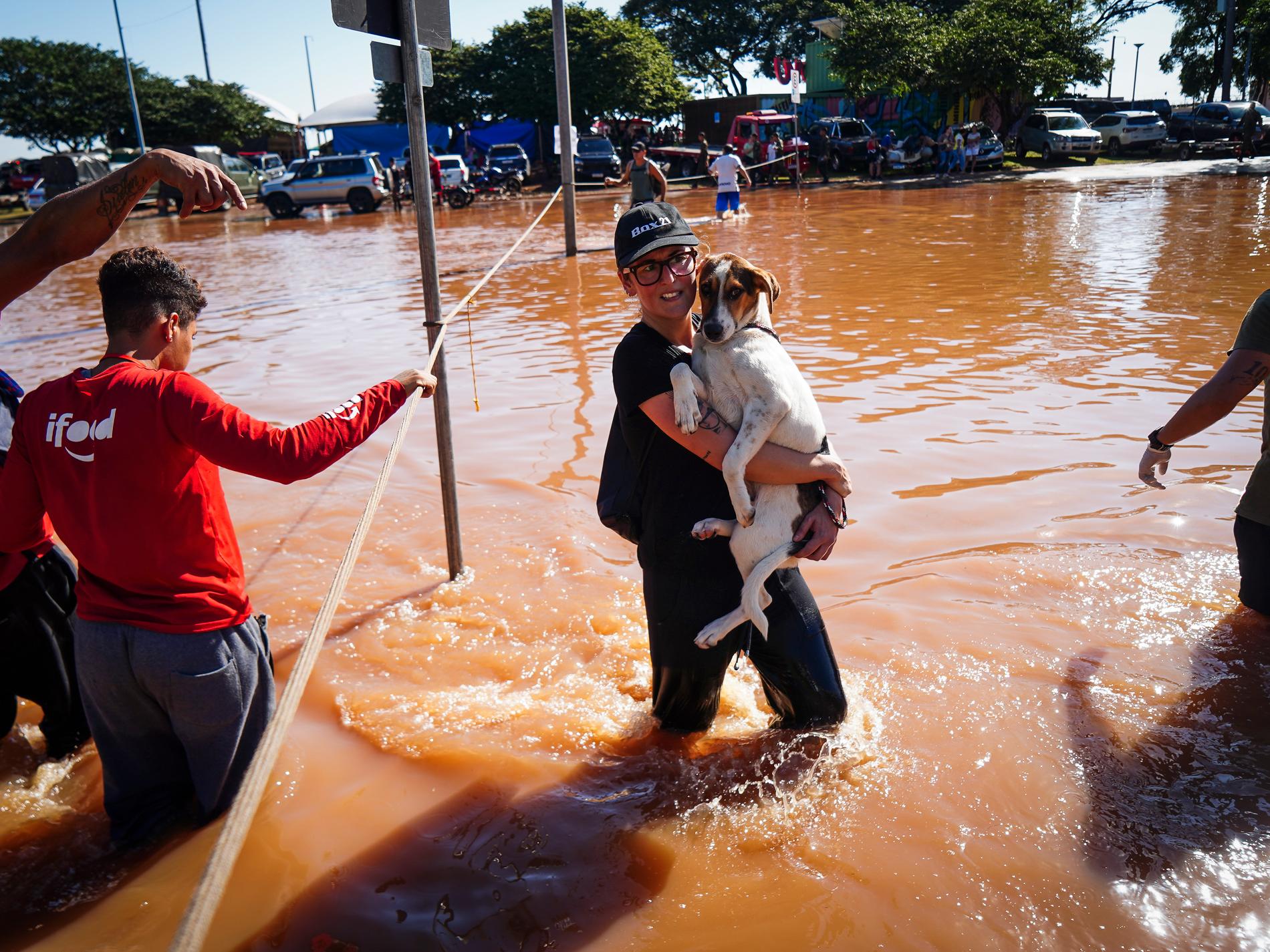 Fler döda och försvunna efter skyfall i Brasilien
