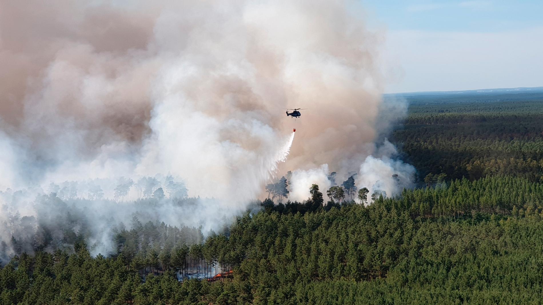 900 miljoner hektar ny skog – motsvarande 20 stycken Sverige eller ett helt USA – skulle kunna suga upp två tredjedelar av alla de koldioxidutsläpp som människan ligger bakom och bidra i kampen mot klimatkrisen, visar ny forskning. Bilden visar en skogsbrand i Tyskland i juni 2019.