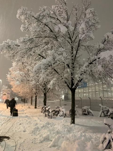 För oss svenskar ser det ut som ett vackert vinterväder. Men för tyskarna är snömängderna extrema. 