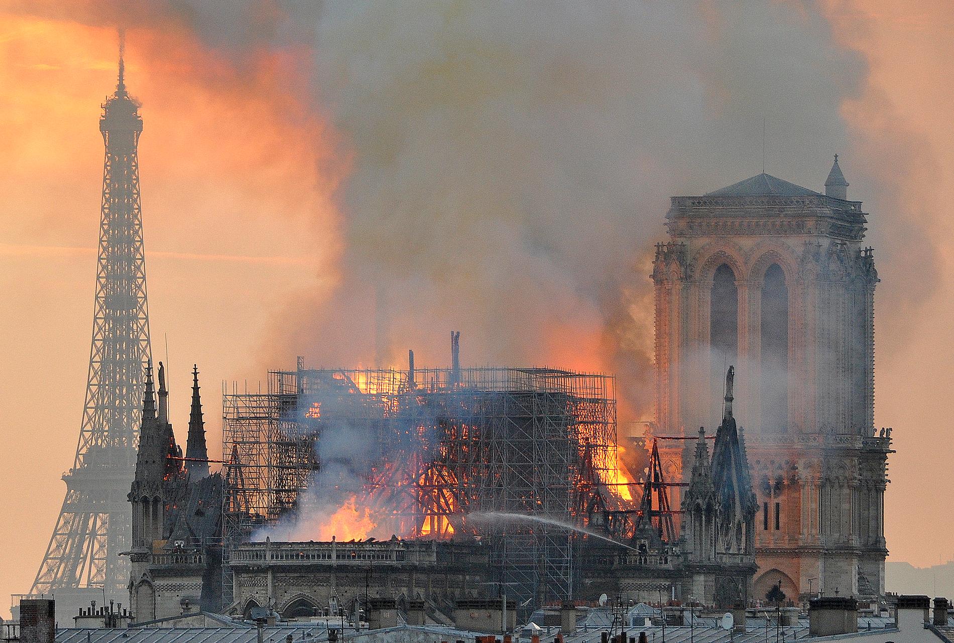 Den våldsamma branden i Notre-Dame i måndags nådde aldrig tre bikupor med uppskattningsvis 180 000 invånare.
