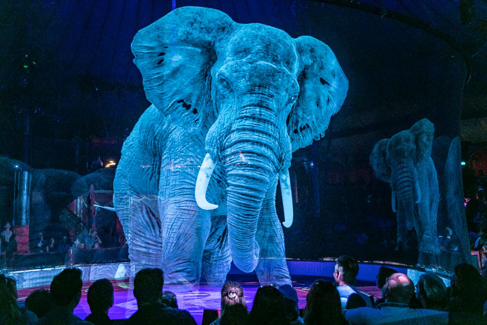 Cirkusen blir först i världen att använda hologramdjur.