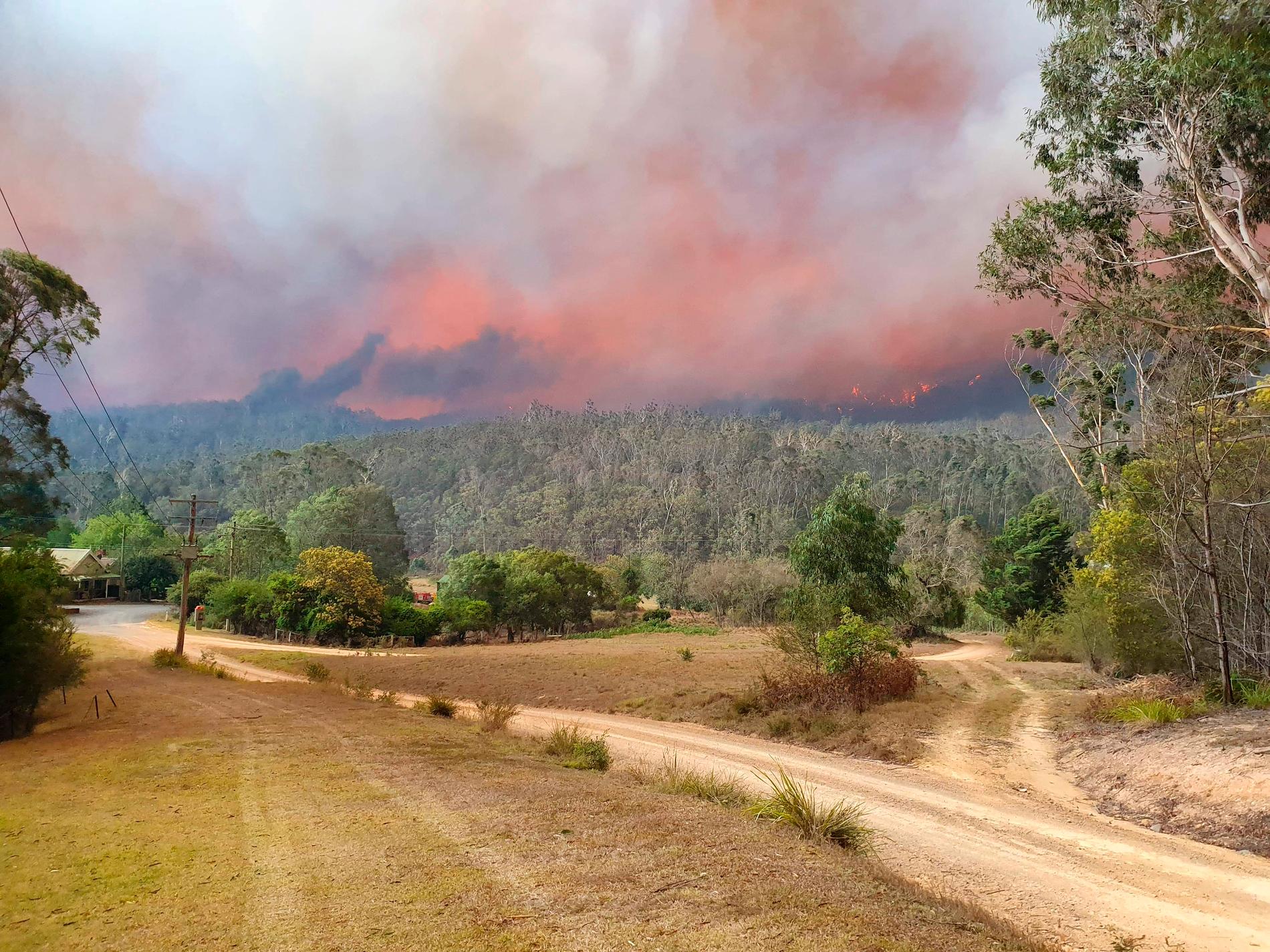 Bränderna härjar i Australien – men inte hela landet är drabbat. 