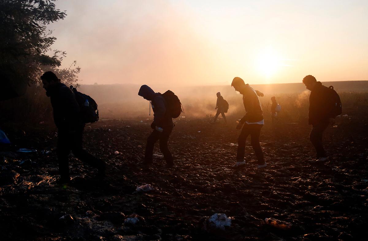 Berkasovo, Serbien: Flyktingar tar sig över ett fält nära den kroatiska gränsen. Sedan Ungern stängt sin gräns mot Kroatien har flyktingar försökt hitta andra vägar in till västra och norra Europa.