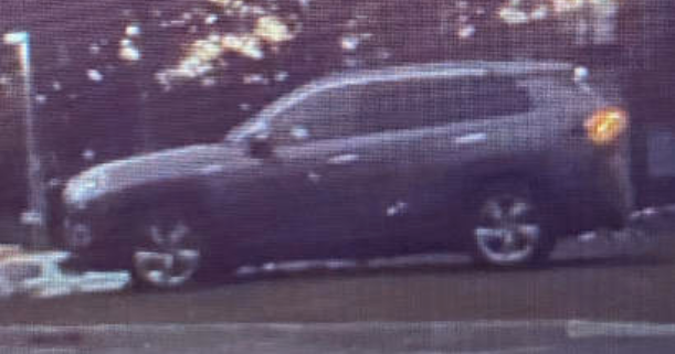 Polisen efterlyser vittnesuppgifter om en grå Toyota RAV4 med tonade rutor som observerats i samband med mordet. Bedömningen är att gärningspersoner använt den.