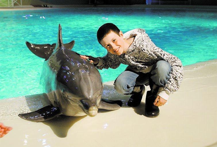 Morsning Felix hälsade bland annat på delfinen Pichi när han bjöd hela klassen till Kolmårdens djurpark.