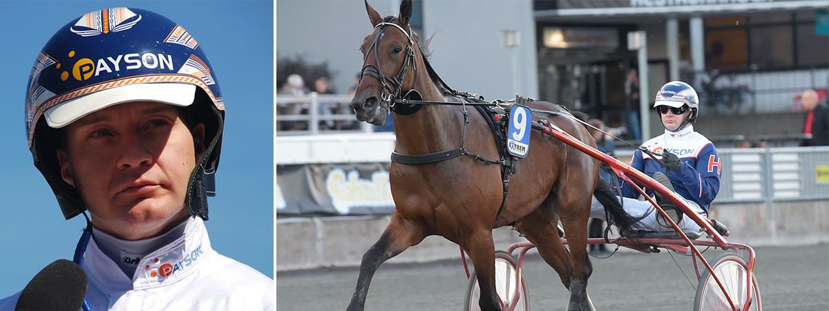 Kenneth Haugstad drabbades av en annorlunda upplevelse under onsdagen på Solvalla. (Hästen på bilden är inte den som attackerades). 