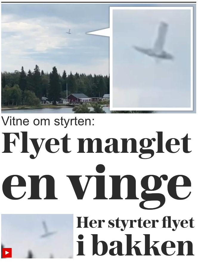 VG, Norges mest lästa tidning online, skriver att ”planet saknar en vinge” och hänvisar till ett vittne.