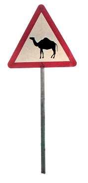 Varning för kameler.