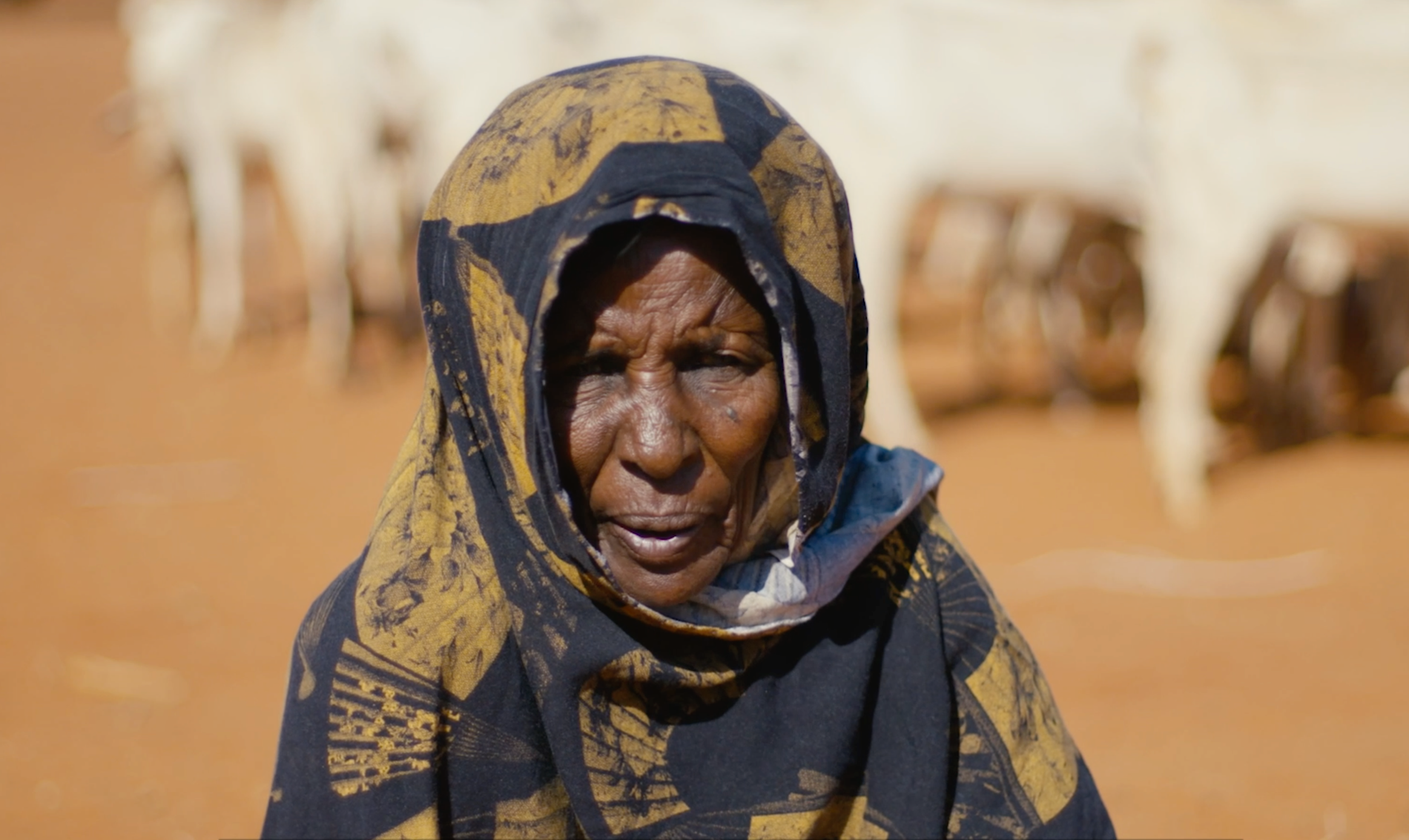 Hawo Hashi Mohamud lever mitt i den värsta torkan på 40 år. 